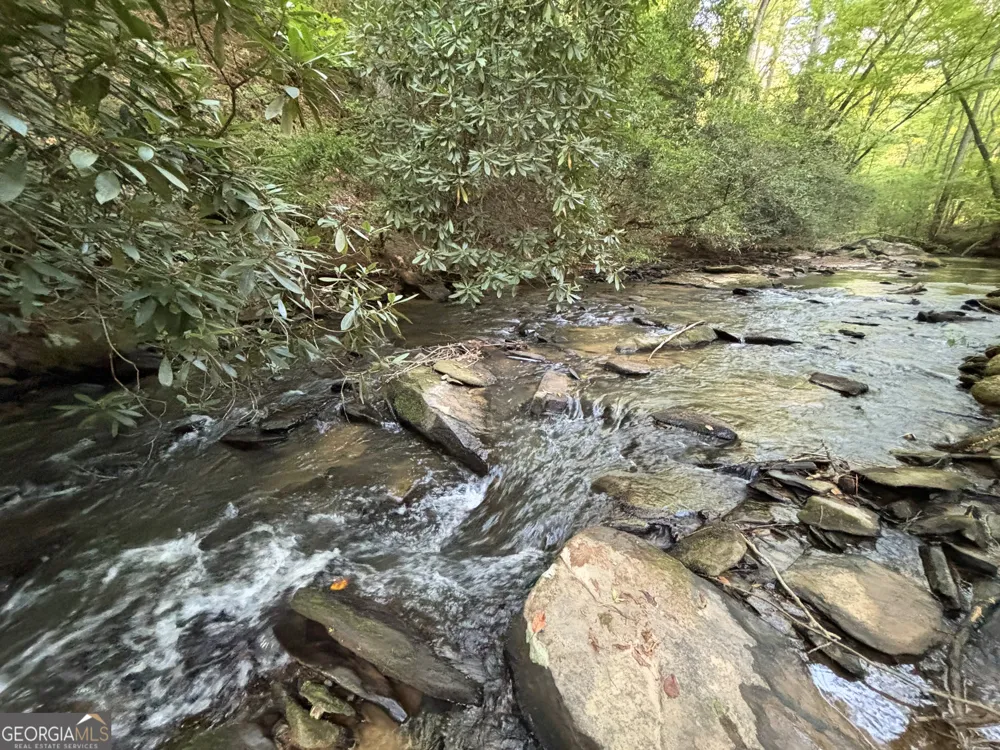 LOTS1920 Mt. Springer RD Ellijay, GA 30540