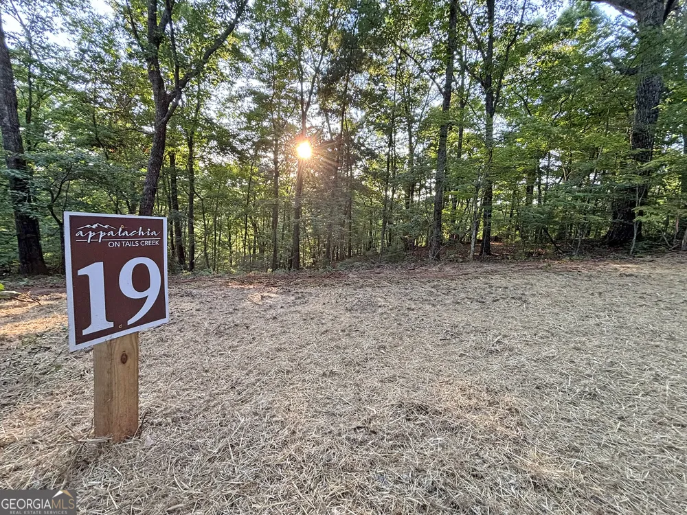 LOTS1920 Mt. Springer RD Ellijay, GA 30540