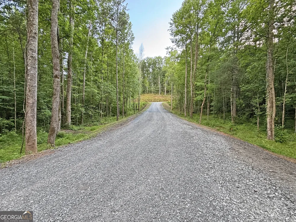 LOTS1920 Mt. Springer RD Ellijay, GA 30540