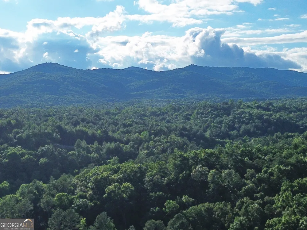 LOTS1920 Mt. Springer RD Ellijay, GA 30540