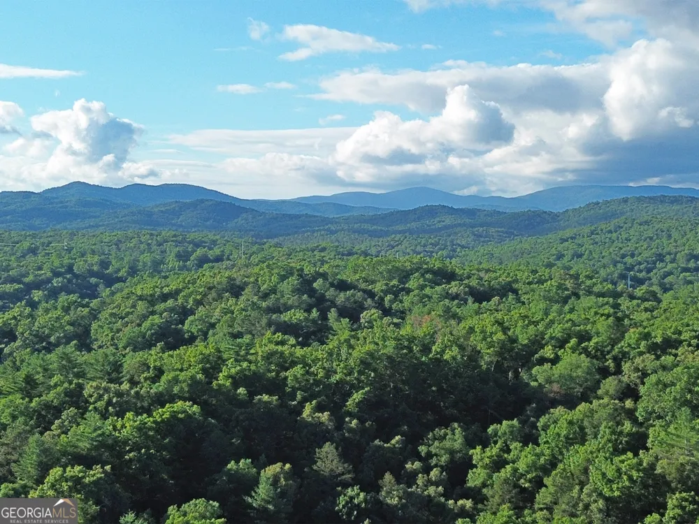 LOTS1920 Mt. Springer RD Ellijay, GA 30540