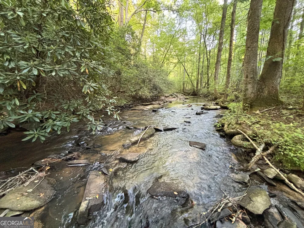 LOTS1920 Mt. Springer RD Ellijay, GA 30540