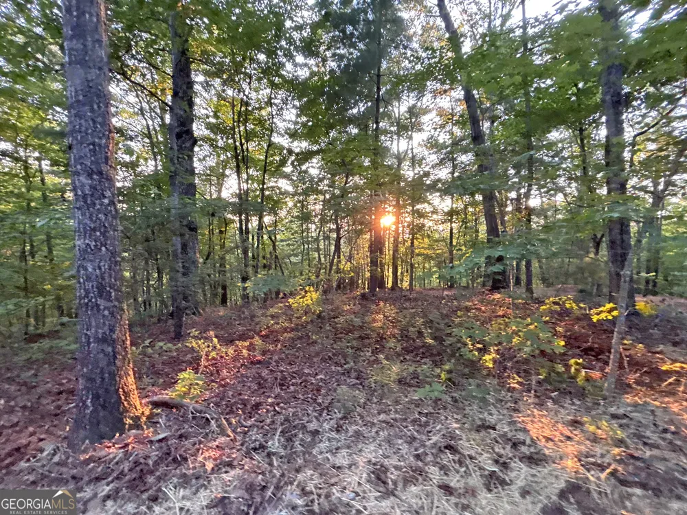 LOTS1920 Mt. Springer RD Ellijay, GA 30540