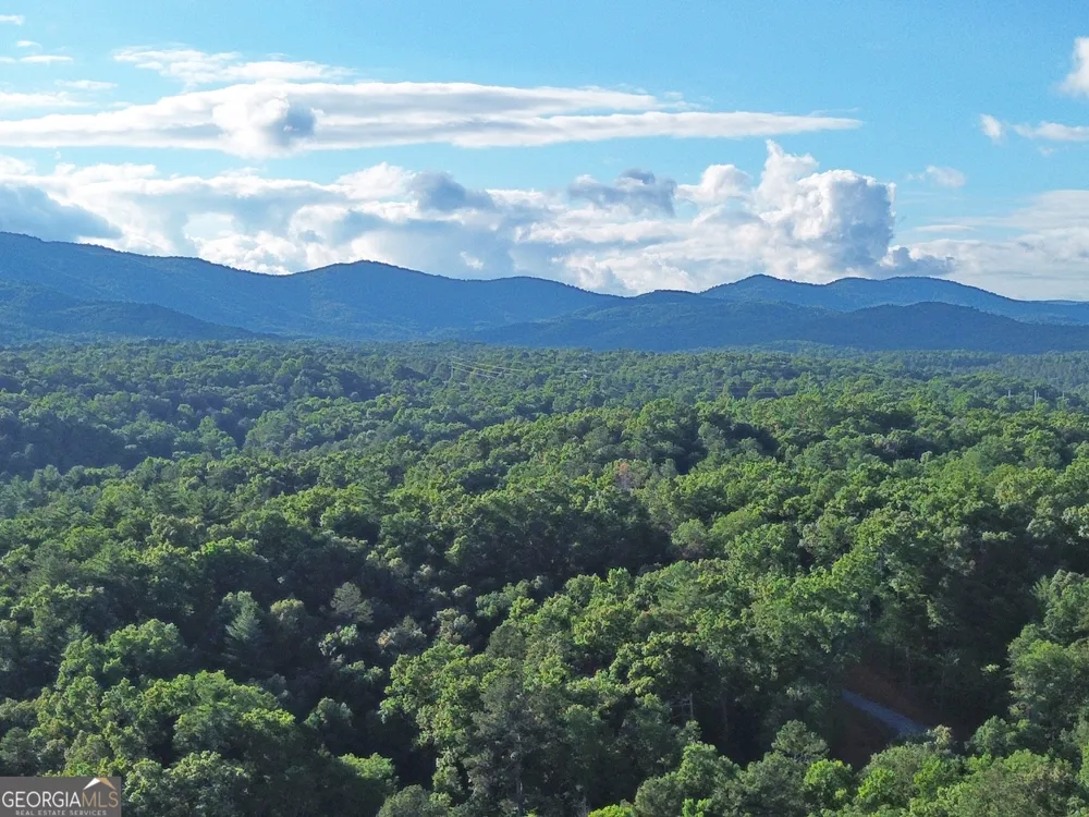 LOTS1920 Mt. Springer RD Ellijay, GA 30540
