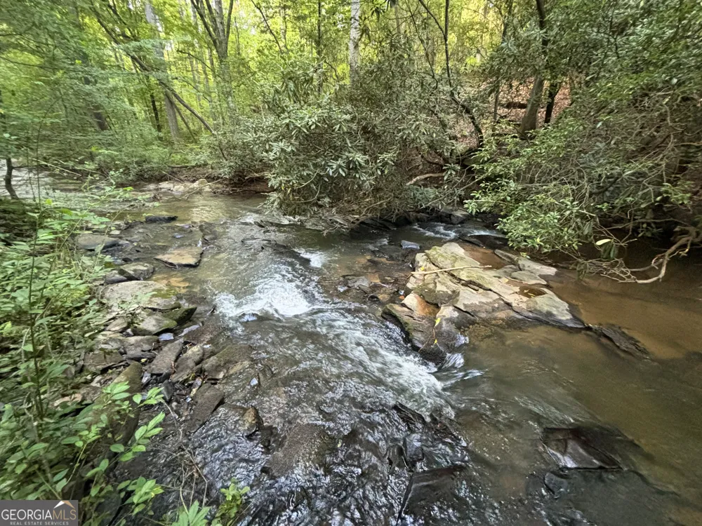 LOTS1920 Mt. Springer RD Ellijay, GA 30540