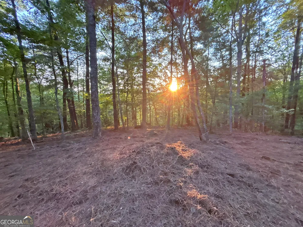 LOTS1920 Mt. Springer RD Ellijay, GA 30540
