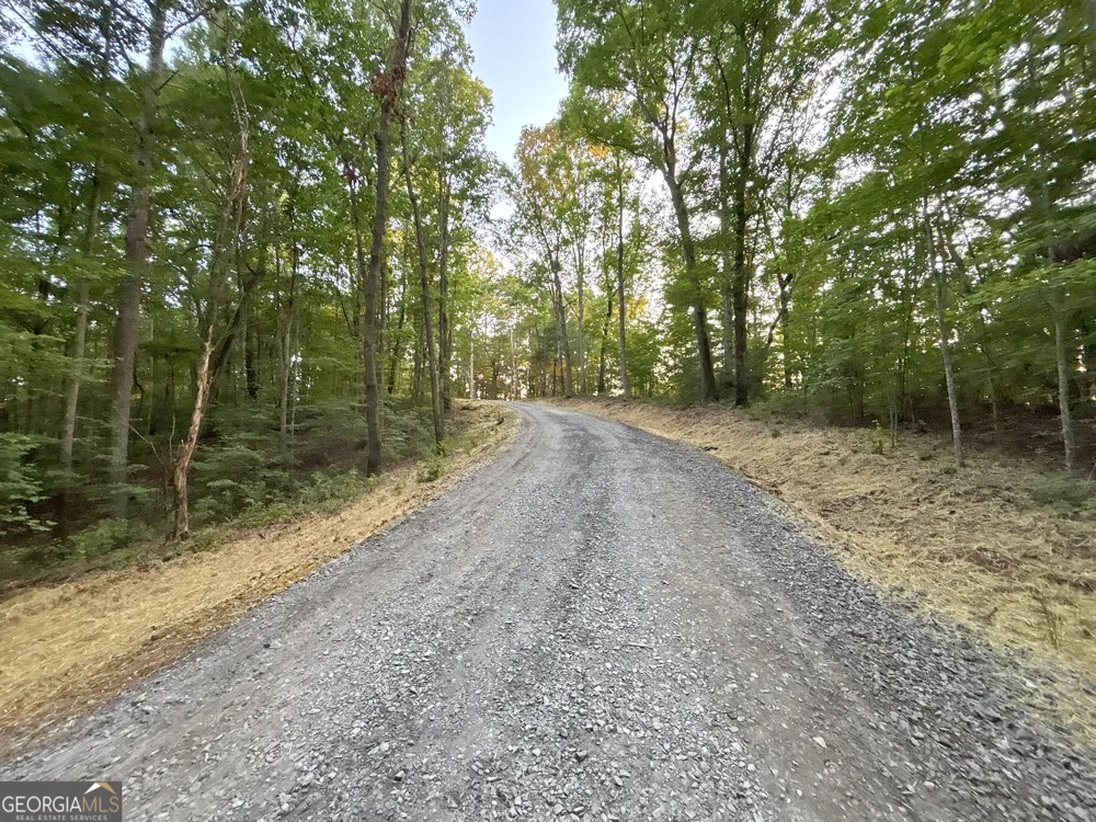 LOTS1920 Mt. Springer RD Ellijay, GA 30540