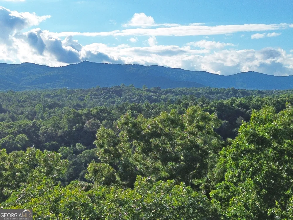 LOTS1920 Mt. Springer RD Ellijay, GA 30540