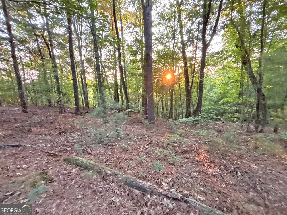LOTS1920 Mt. Springer RD Ellijay, GA 30540