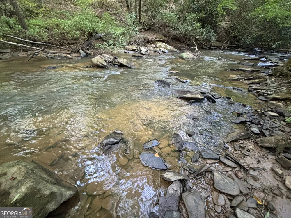 LOTS1920 Mt. Springer RD Ellijay, GA 30540