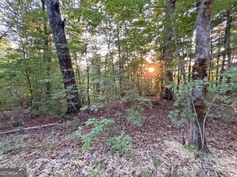 LOTS1920 Mt. Springer RD Ellijay, GA 30540