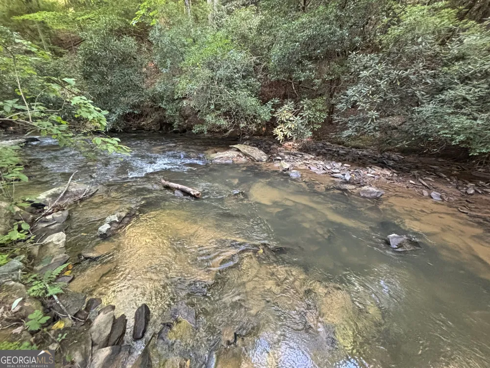LOTS1920 Mt. Springer RD Ellijay, GA 30540