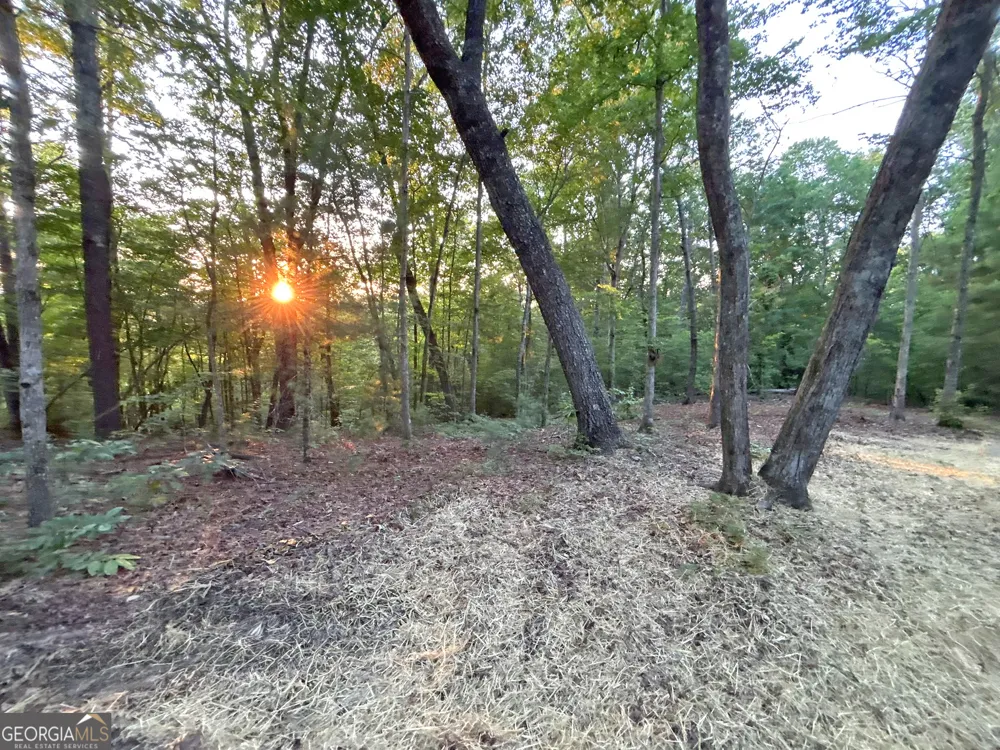 LOTS1920 Mt. Springer RD Ellijay, GA 30540