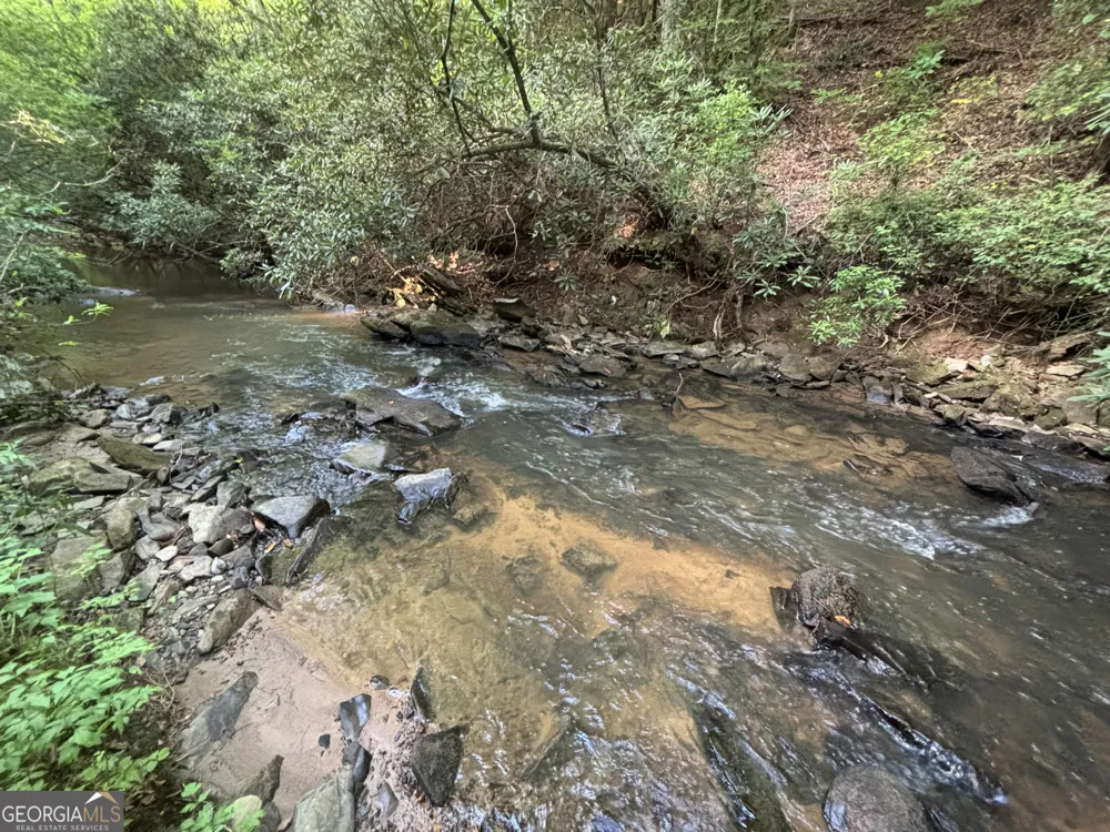 LOTS1920 Mt. Springer RD Ellijay, GA 30540