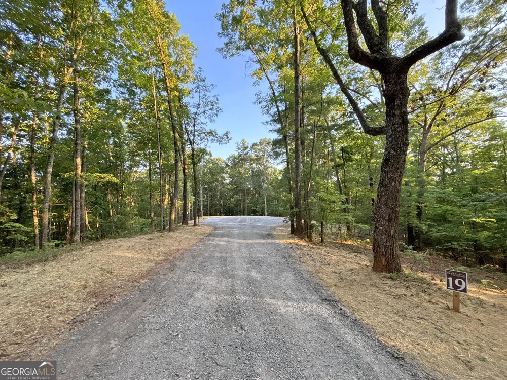 LOTS1920 Mt. Springer RD Ellijay, GA 30540