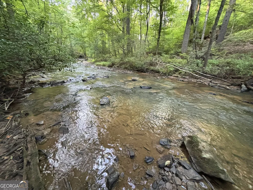 LOTS1920 Mt. Springer RD Ellijay, GA 30540