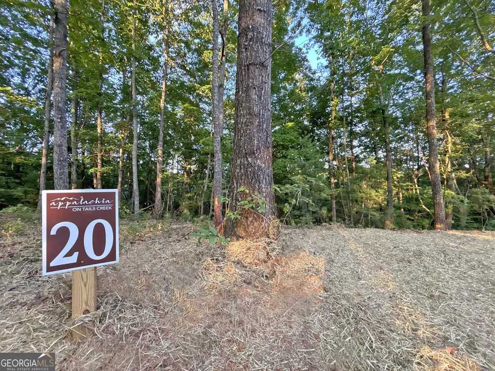 LOTS1920 Mt. Springer RD Ellijay, GA 30540