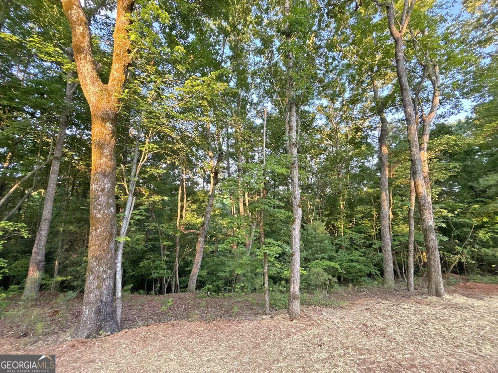 LOTS1920 Mt. Springer RD Ellijay, GA 30540