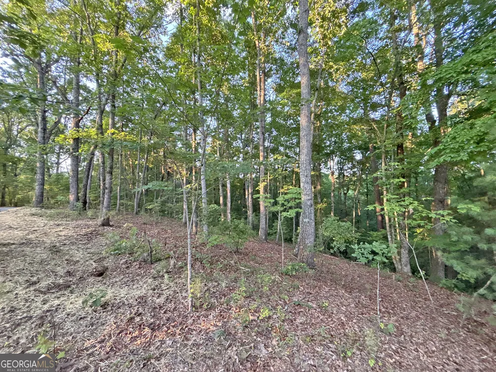 LOTS1920 Mt. Springer RD Ellijay, GA 30540