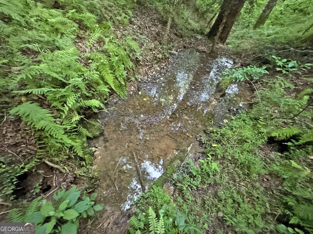 LOTS1920 Mt. Springer RD Ellijay, GA 30540