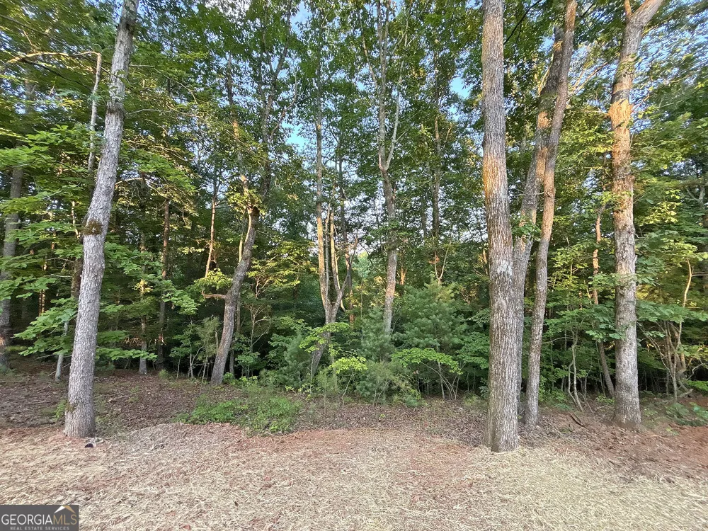 LOTS1920 Mt. Springer RD Ellijay, GA 30540