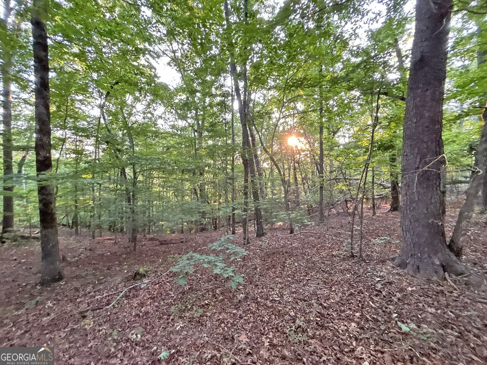 LOTS1920 Mt. Springer RD Ellijay, GA 30540