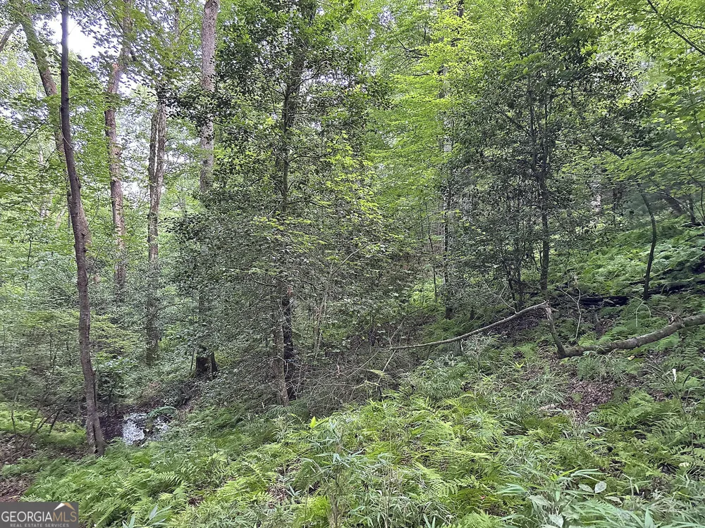 LOTS1920 Mt. Springer RD Ellijay, GA 30540