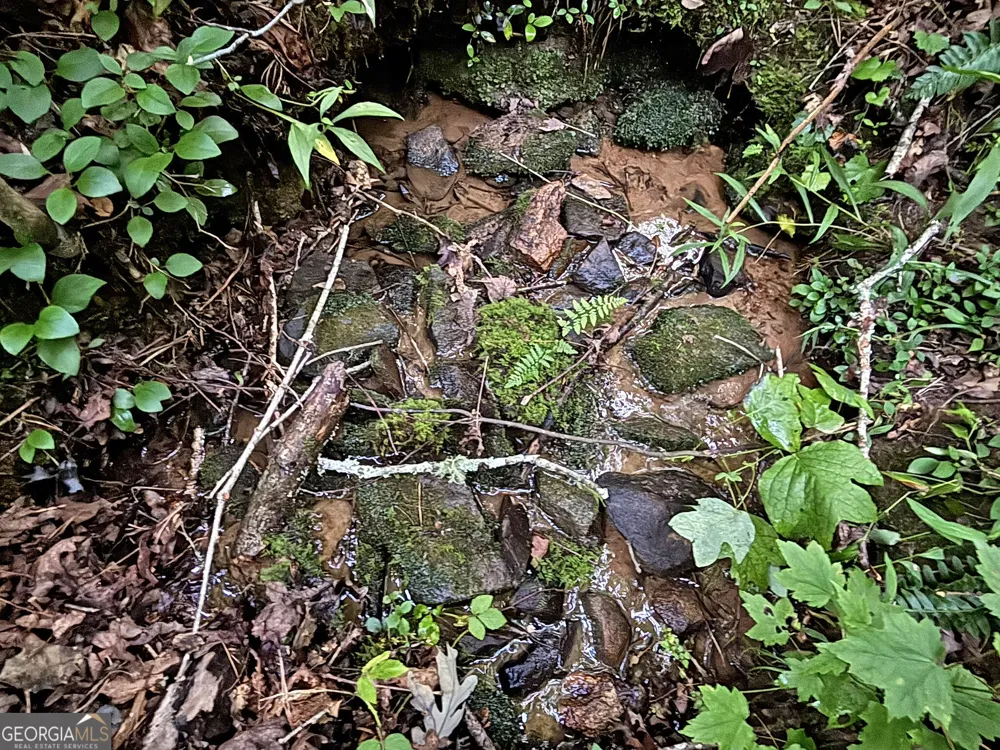 LOTS1920 Mt. Springer RD Ellijay, GA 30540