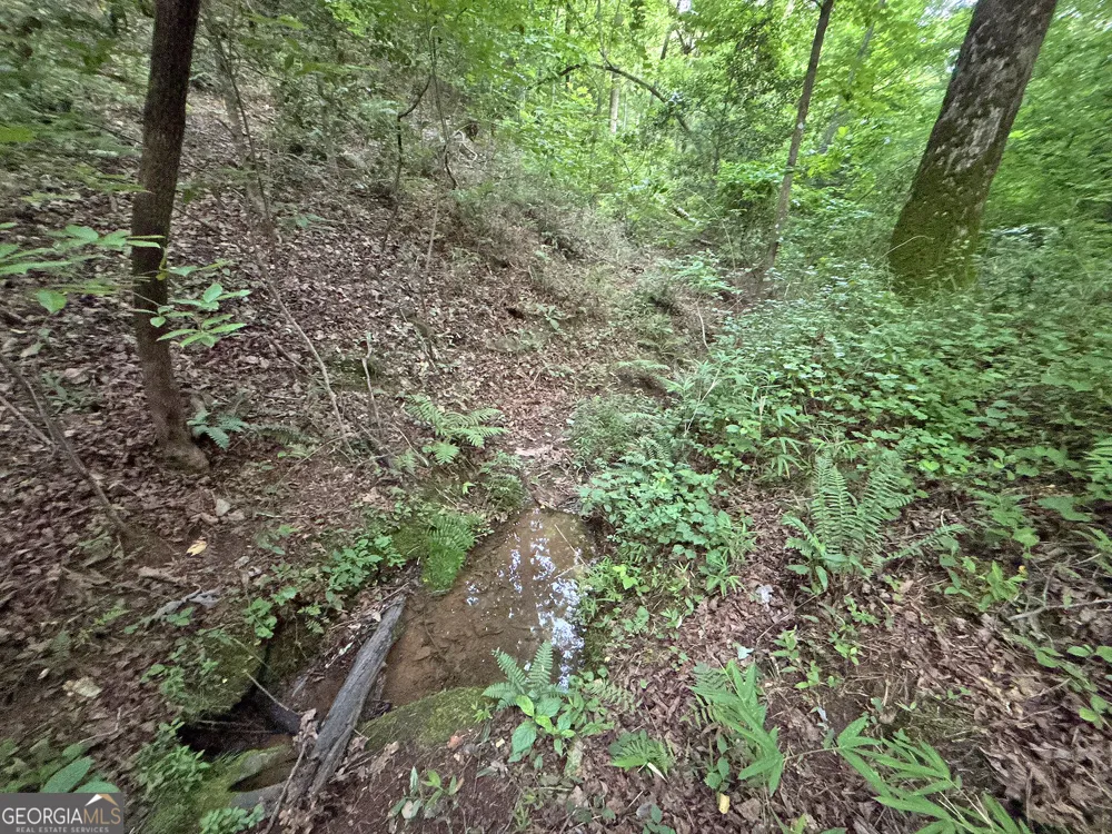 LOTS1920 Mt. Springer RD Ellijay, GA 30540