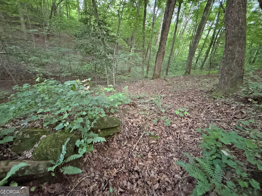 LOTS1920 Mt. Springer RD Ellijay, GA 30540