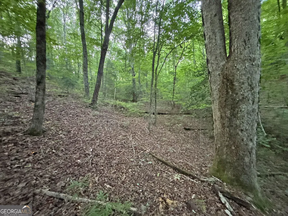LOTS1920 Mt. Springer RD Ellijay, GA 30540