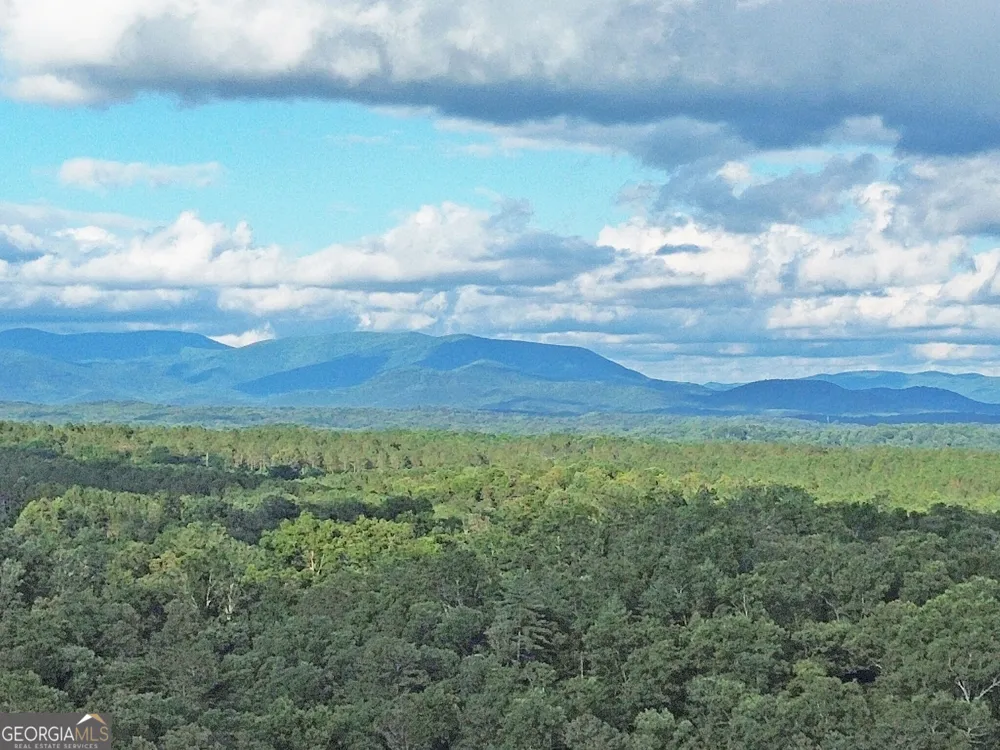 LOTS1920 Mt. Springer RD Ellijay, GA 30540