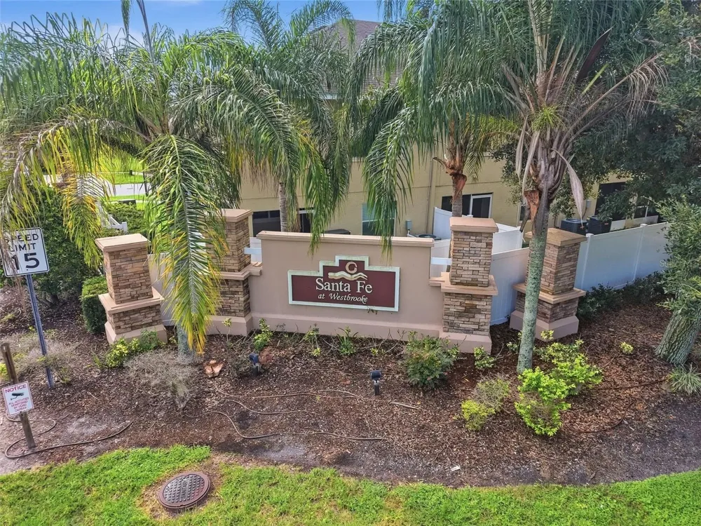 5047 CHIPOTLE LANE Wesley Chapel, FL 33544