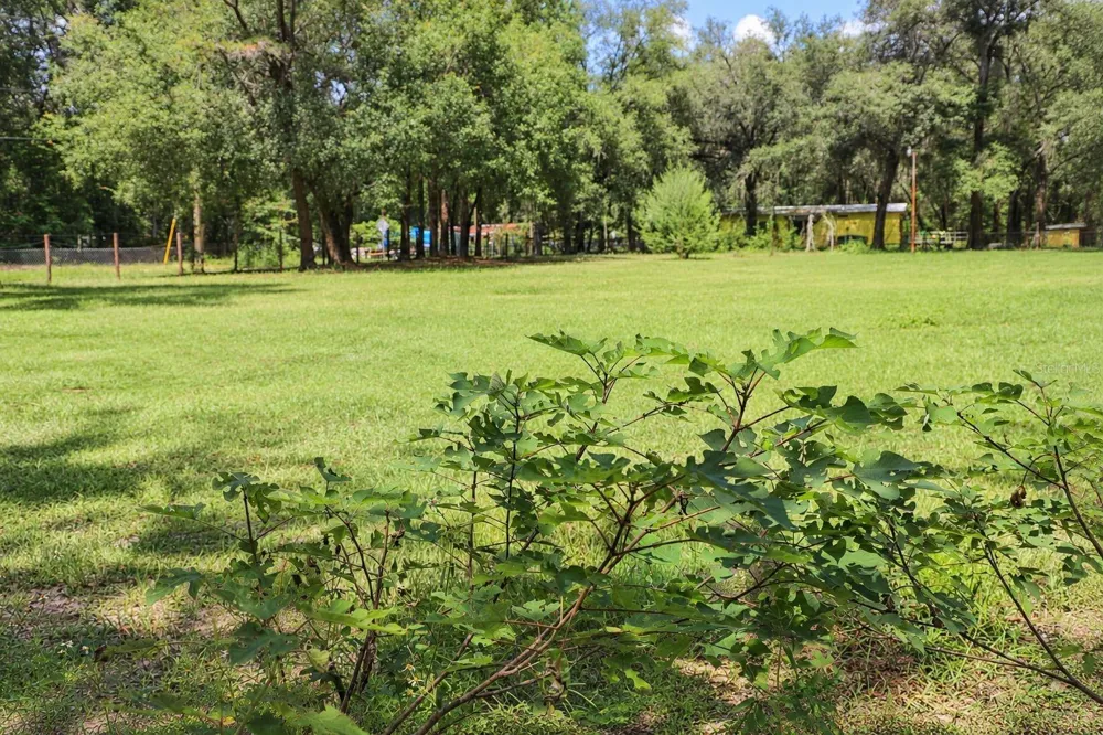 8231 SWAN LAKE ROAD Melrose, FL 32666