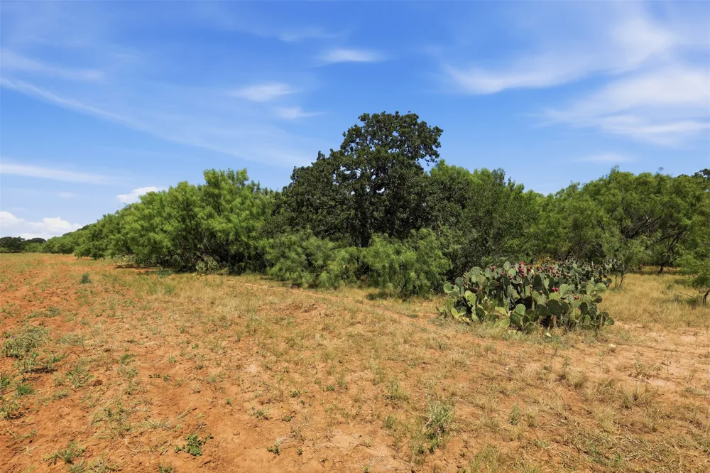 County Road 162 Cisco, TX 76437
