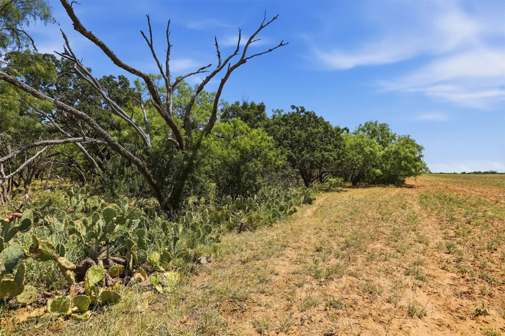 County Road 162 Cisco, TX 76437
