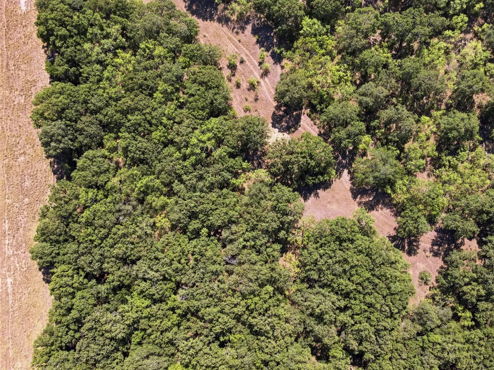County Road 162 Cisco, TX 76437
