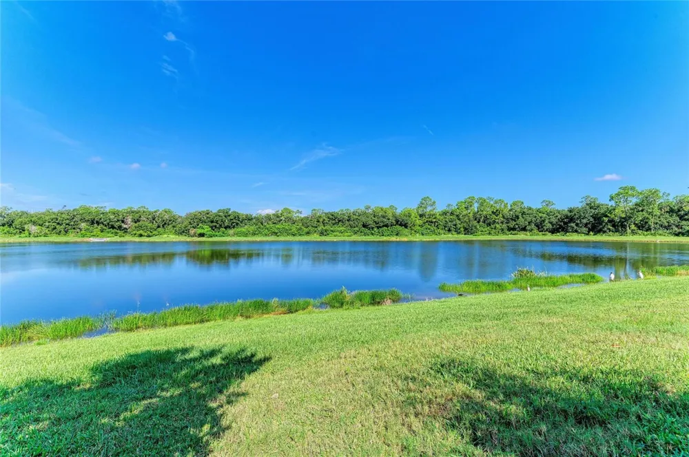 17009 POLO TRAIL Bradenton, FL 34211