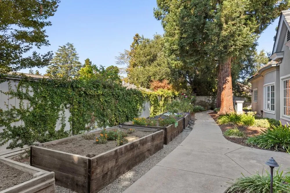 1 W Edith Avenue #D226 Los Altos, CA 94022