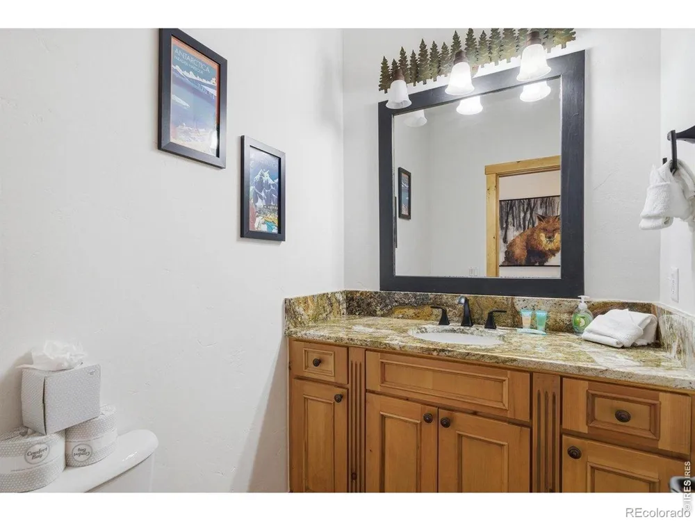 590 Water Dance Drive Frisco, CO 80443