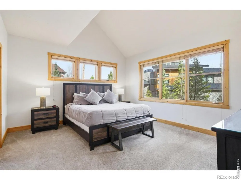 590 Water Dance Drive Frisco, CO 80443