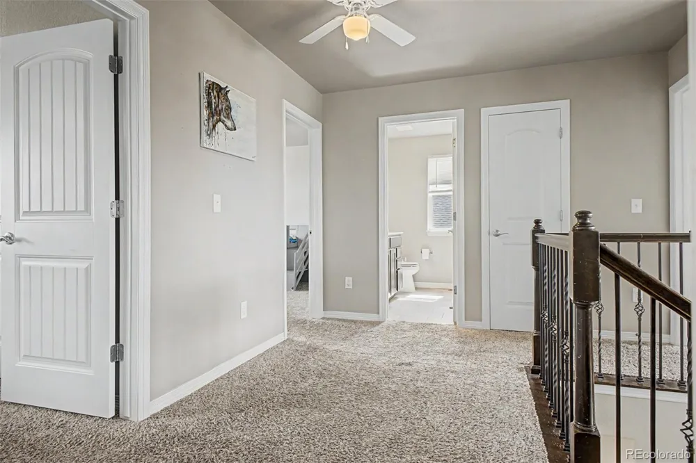 4689 Waltham Drive Windsor, CO 80550