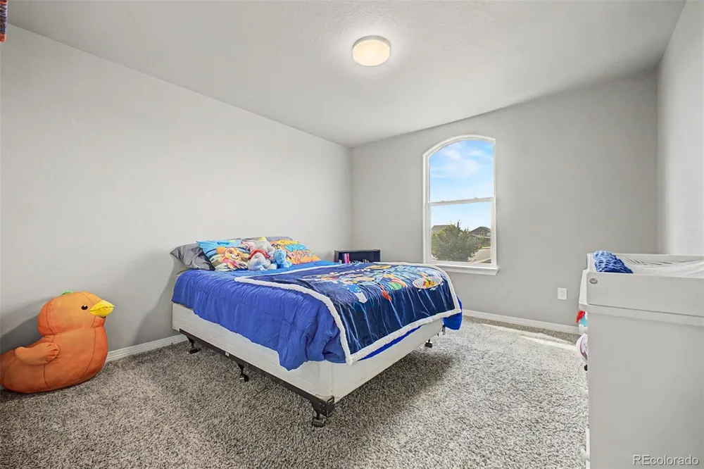 4689 Waltham Drive Windsor, CO 80550