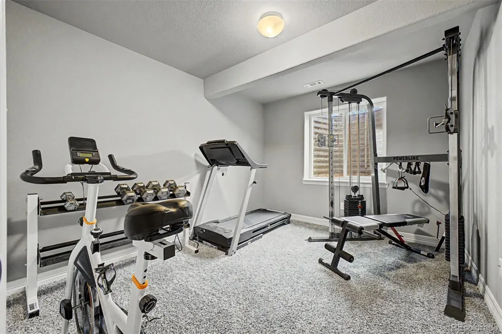 4689 Waltham Drive Windsor, CO 80550