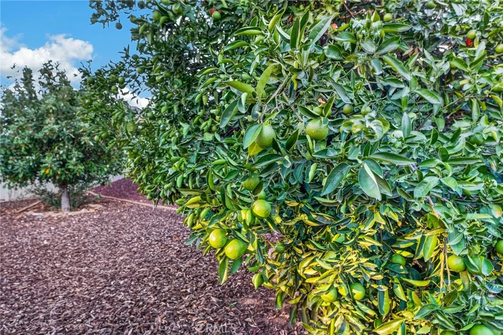 1281 Sunburst Drive Beaumont, CA 92223