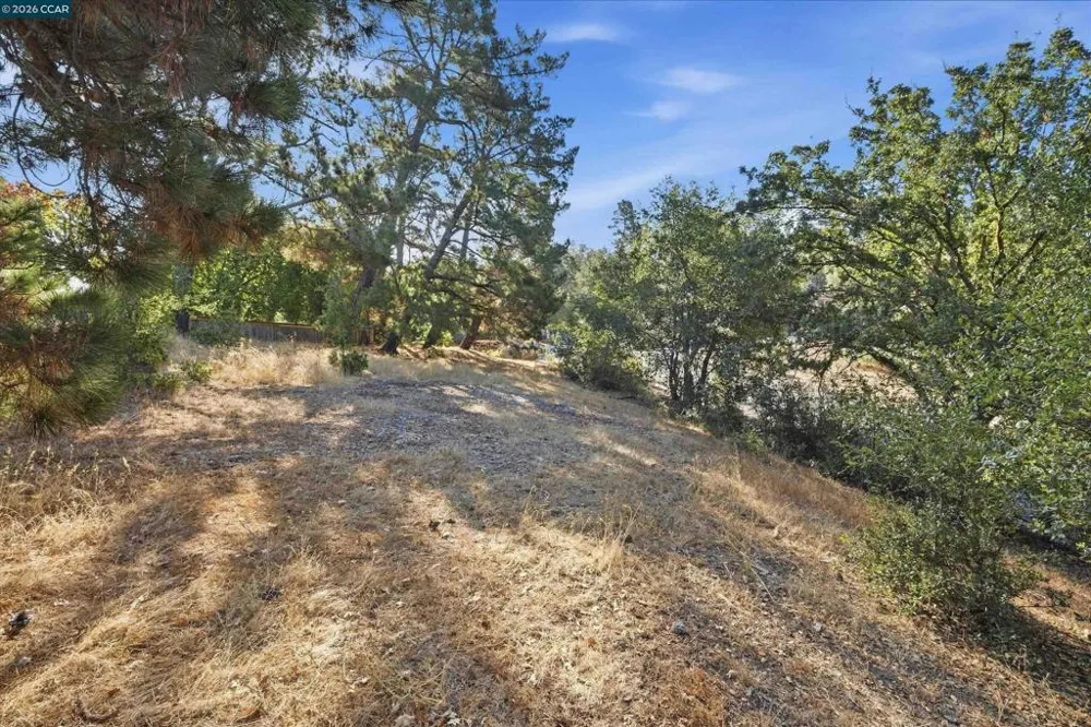 Hamlin Rd Lafayette, CA 94549