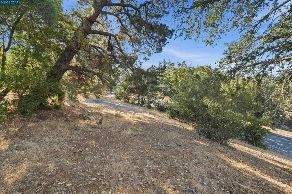Hamlin Rd Lafayette, CA 94549