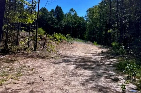 315 Delta Lane