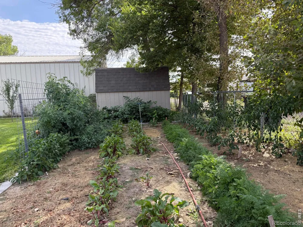 120 S Hickory Street Yuma, CO 80759