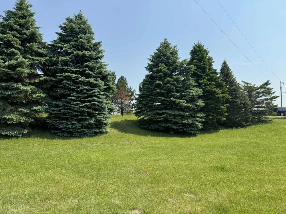 6294 100th Avenue Evart, MI 49631
